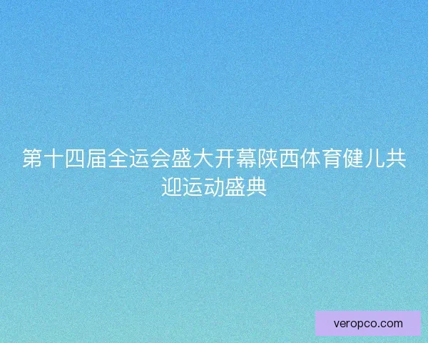 第十四届全运会盛大开幕陕西体育健儿共迎运动盛典